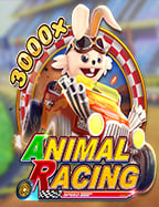 แนะนำเว็บ สล็อต สาย ตรง ที่ดีที่สุดในตอนนี้